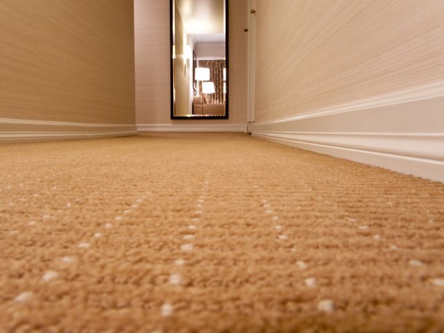 carpet flooring